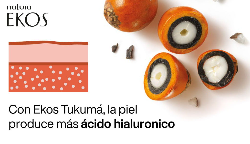 Ekos tukuma y manteca de tukumá