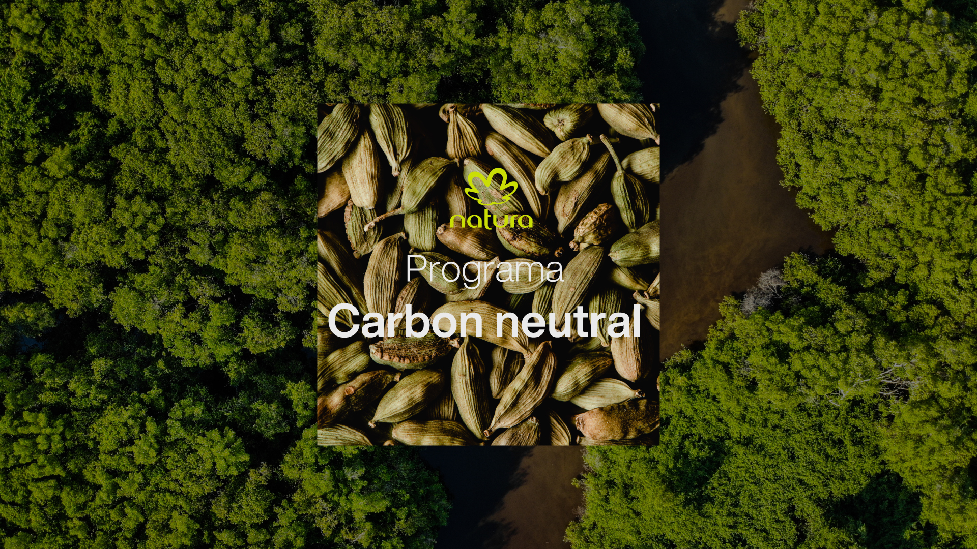 Descubrir 108+ imagen carbono neutro natura