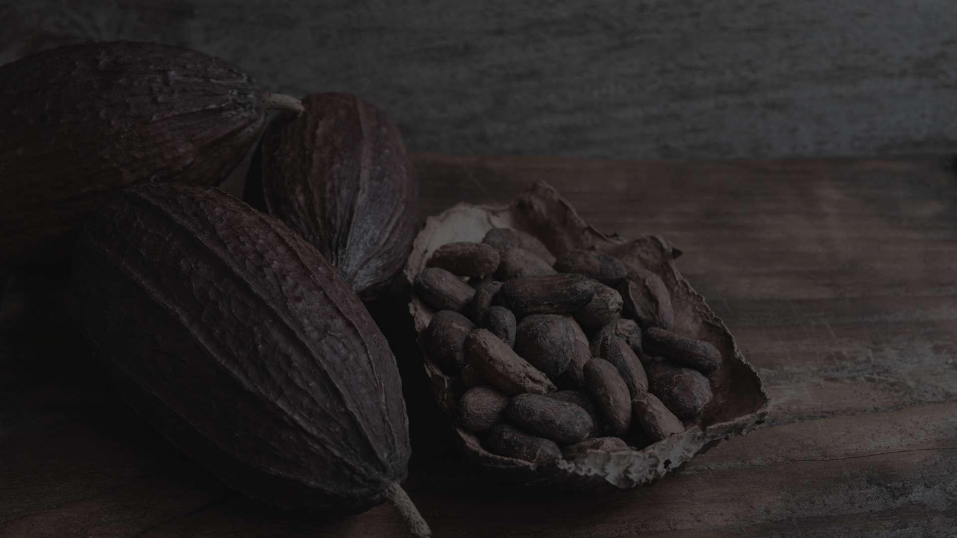 Natura Ekos Cacao Semilla Compra Online