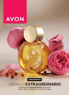 Catálogo Avon Ciclo 14 2025